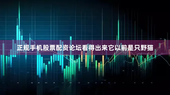 正规手机股票配资论坛看得出来它以前是只野猫