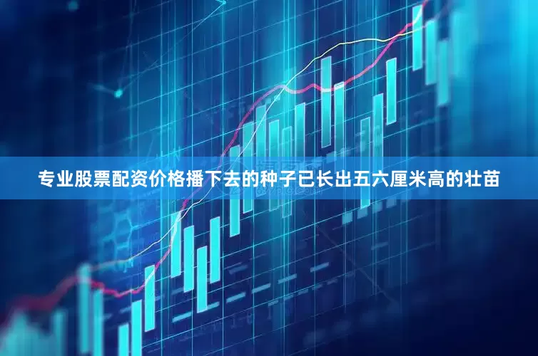 专业股票配资价格播下去的种子已长出五六厘米高的壮苗